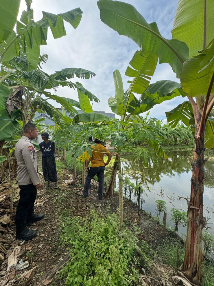 Bhabinkamtibmas Siwalanpanji Imbau Petambak Ikan Perhatikan Ketersediaan Pakan Alami untuk Sukseskan Ketahanan Pangan Nasional Saat Panen