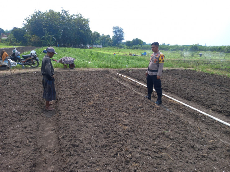 Kanit Binmas Polsek Krembung Bersama Petani Apresiasi Ketahanan Pangan Bawang Merah di Desa Lemujut