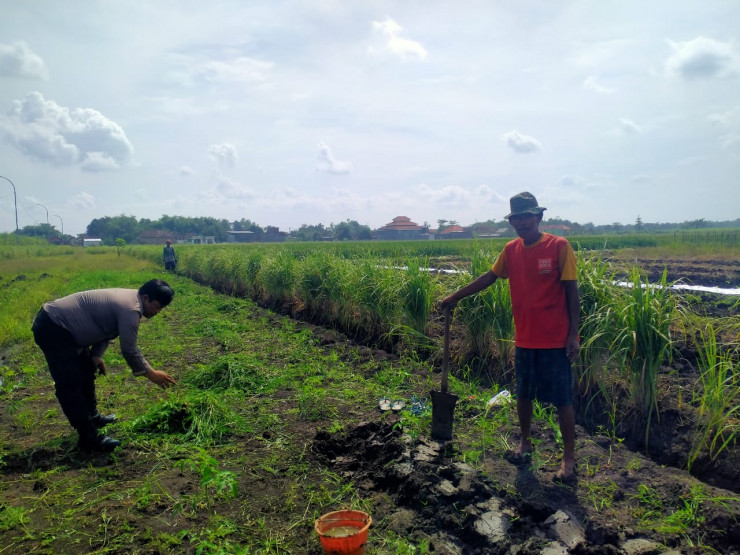 Kanit Binmas Polsek Prambon Tinjau Lahan P2B di Desa Jatikalang