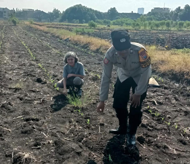 Polisi Cinta Petani, Polsek Taman Cek Jagung
