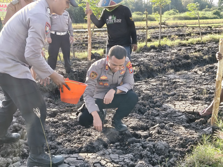 Kapolsek Wonoayu bersama Gapoktan Tanam Jagung Kuartal II, Dukung Swasembada Pangan Nasional
