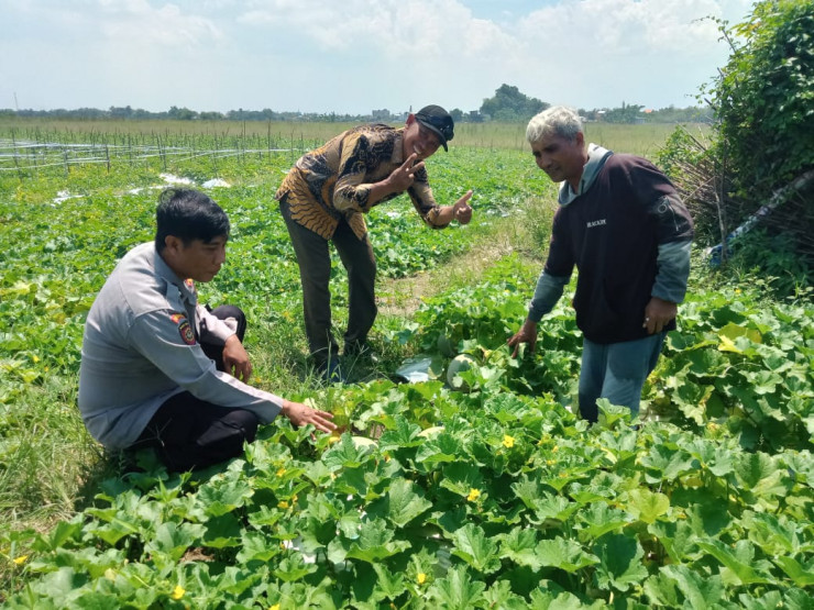 Kapolsek Tanggulangin Masifkan Peran Bhabinkamtibmas Sambang Desa Dukung Program Ketahanan Pangan Nasional