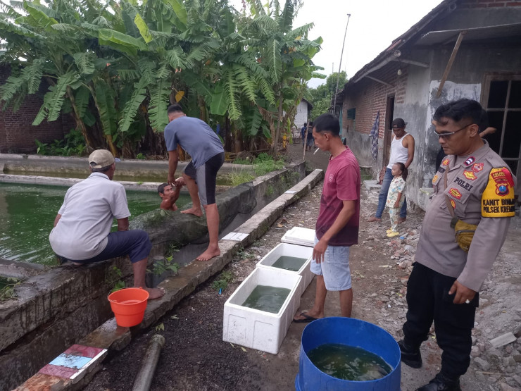 Kanit Binmas Polsek Krembung Apresiasi Warga Panen Ikan Gurami