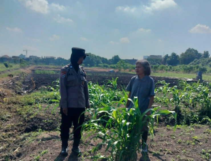 Program Ketahanan Pangan, Polsek Taman Cek Pertumbuhan Jagung di Lahan Lingkar Mas