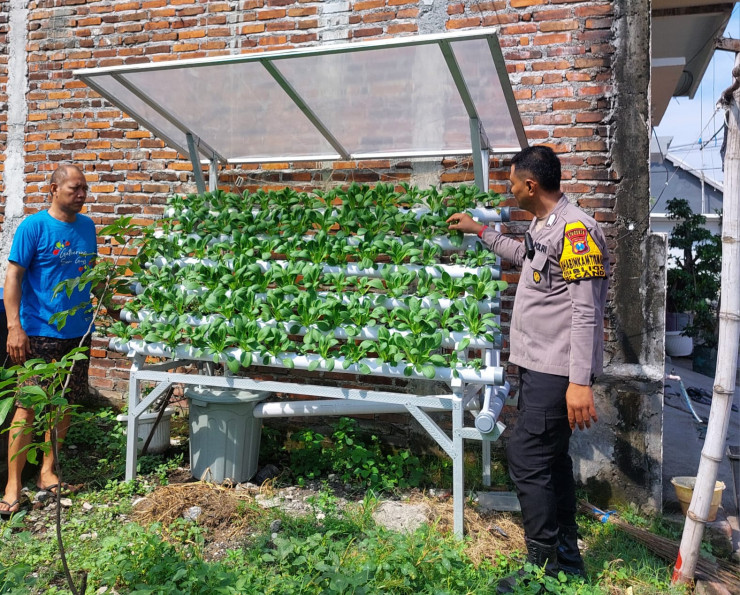 Ajak Lestarikan Tanaman Hidroponik di Desa Bligo, Optimis Perkuat Ketahanan Pangan Warga