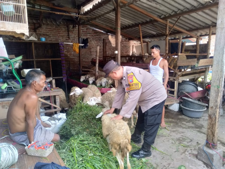 Polsek Tulangan Motivasi Peternak Kambing Dukung Ketahanan Pangan Polresta Sidoarjo