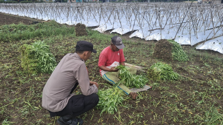 Edukasi Ketahanan Pangan, Bhabinkamtibmas Ajak Petani Manfaatkan Lahan Kosong untuk Tanam Kangkung