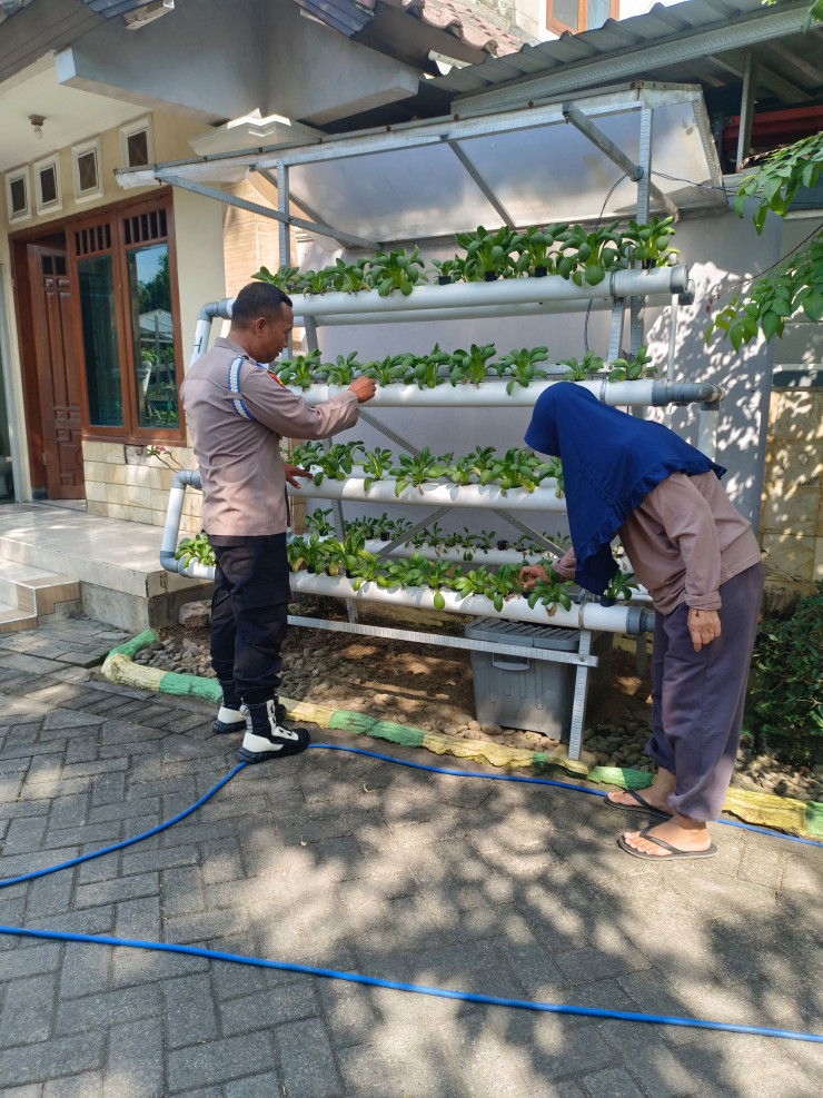 Bhabinkamtibmas dan Ketua Bumdes Apresiasi Program Ketahanan Pangan Berbasis Hidroponik di Perumahan MCA Sumorame