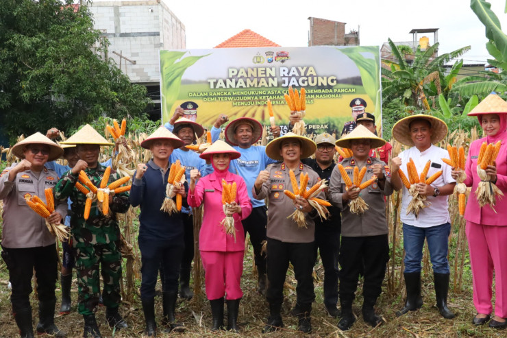 Polres Pelabuhan Tanjungperak bersama Poktan Panen Raya Jagung Tahap 7, Perkuat Ketahanan Pangan Nasional